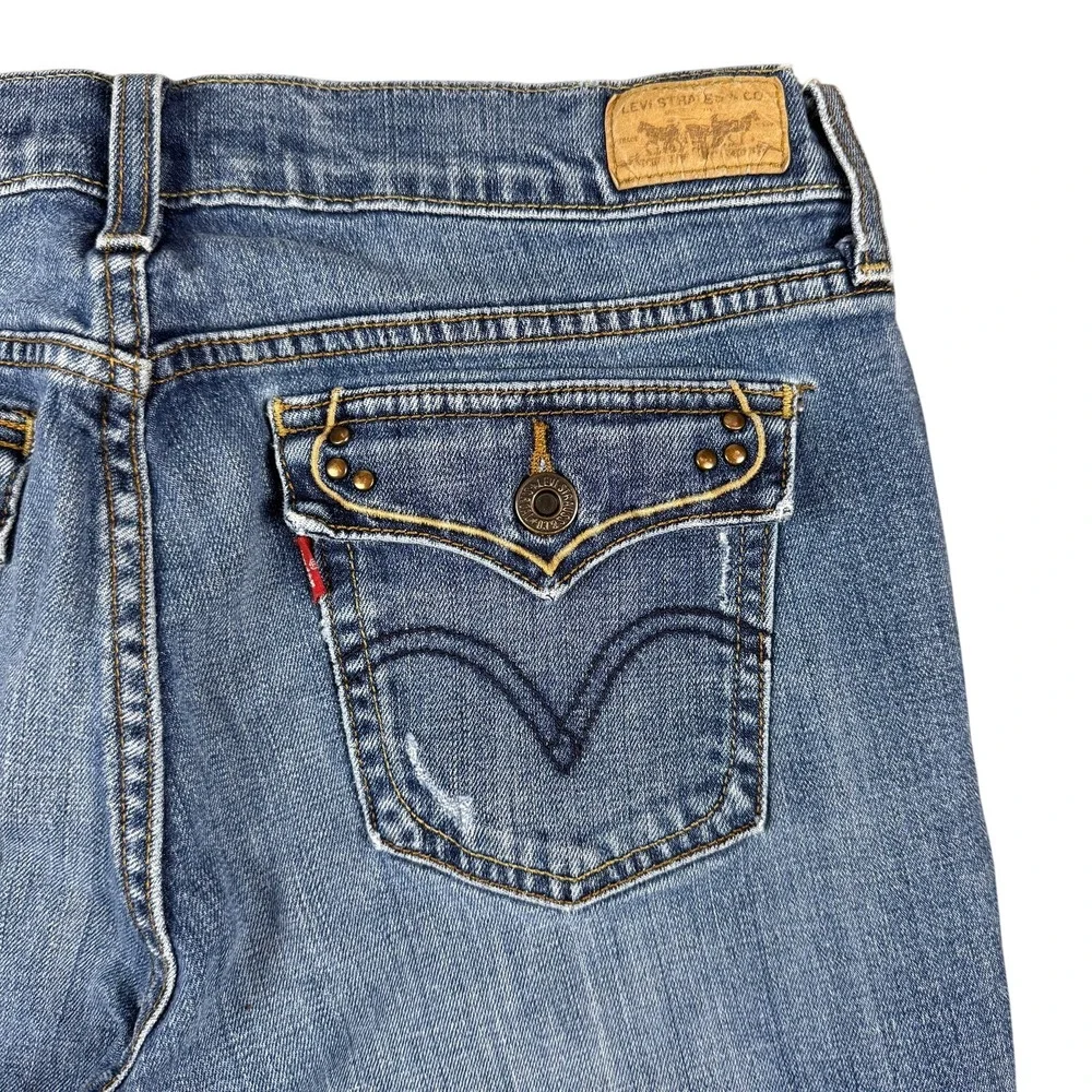 these levi